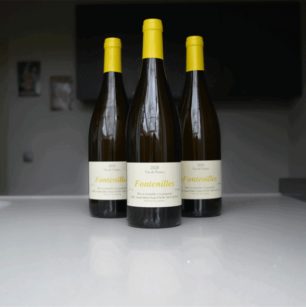Fontenilles Blanc wijnen uit 2020