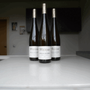 Muscat Ottonel wijnen van Hurst